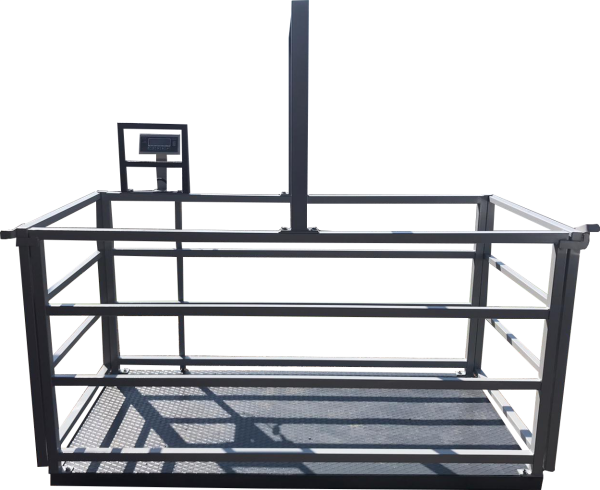 1500 Kg 100x200 Cm Canlı Hayvan Baskülü