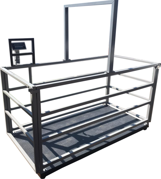 1500 Kg 100x200 Cm Canlı Hayvan Baskülü