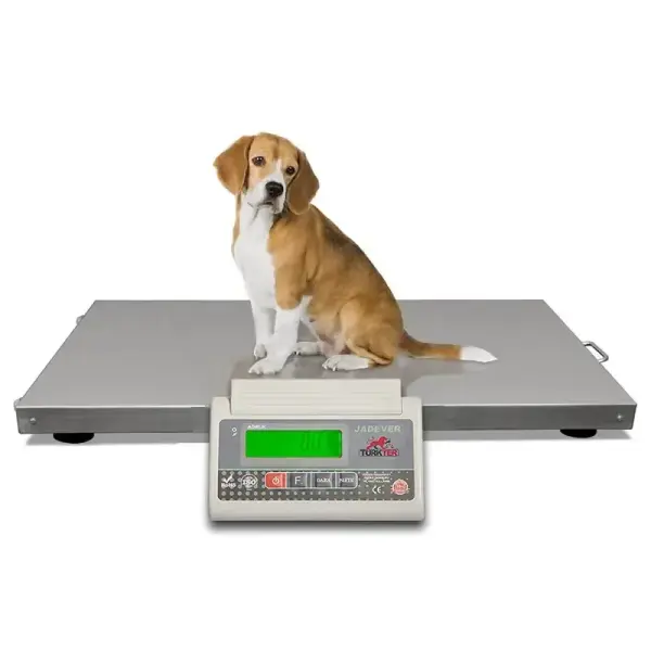 55x80 cm 300 Kg 10 Gr Hassasiyetli Paslanmaz Platform Terazi (İndikatörlü)