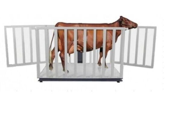 CANLI HAYVAN BASKÜLÜ 4 LOADCELL TEK ŞASE BÜYÜK BAŞ